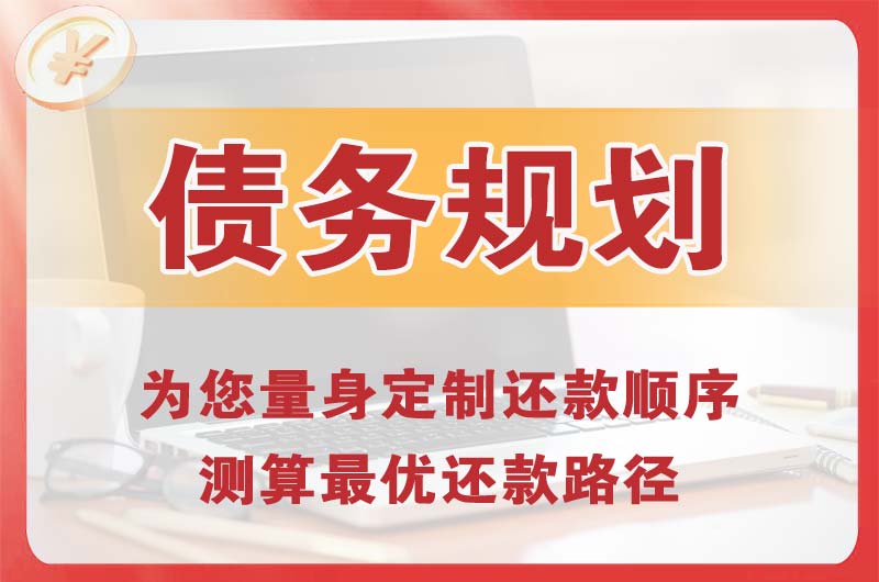 若尔盖债务规划